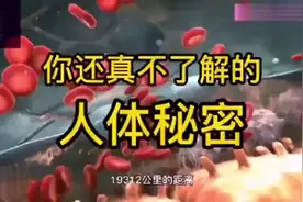 人体的秘密，有趣又长知识。视频封面