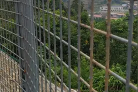 印尼中苏拉威西岛视频封面