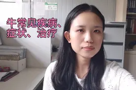 牛常见疾病、症状、治疗视频封面