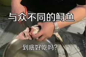 第一次吃人工养殖的中华鲟鱼，整条鱼没鱼刺，一条透亮鱼筋很脆视频封面