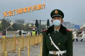 4月7日天安门升国旗仪式现场传来乌鸦的叫声，这有什么寓意