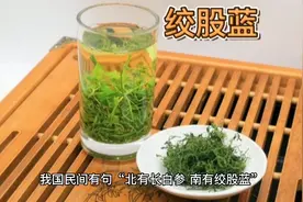 绞股蓝泡茶喝的好处视频封面