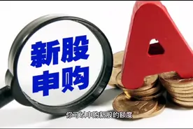 股票知识入门——新股申购的规则技巧！视频封面