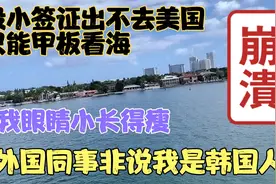我长得瘦眼睛小，外国同事非说我是韩国人！拿不到签证出不去美国视频封面