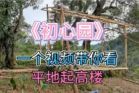 初心园第五天，一个视频带你看完整的平地起高楼，都是汗水的结晶
