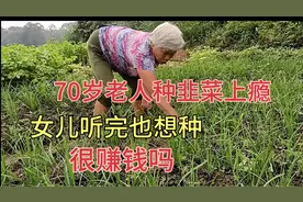 农村种韭菜很赚钱？70岁老人种上瘾，说可以致富，女儿听完也想种视频封面