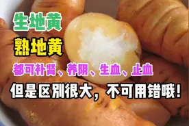 生地黄，熟地黄，都可以补肾滋阴，但是区别很大，不可用错！视频封面