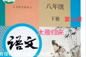 八下语文第七课《大雁归来》视频封面