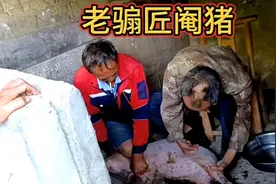 行走乡村五十年的老骟匠，一头猪只要几十秒，阉割技术怎么样？视频封面