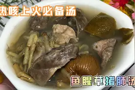 鱼腥草是个宝，很多人都不知道，搭配猪肺煲汤清热去火消炎效果好视频封面