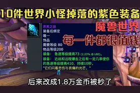 魔兽世界WLK怀旧服：10件世界小怪掉落的紫色装备，每一件都值钱视频封面