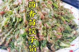 茴香苗肉馅到底要不要焯水？大厨分享制作过程，鲜香不柴口感好