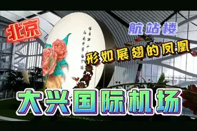 北京大兴国际机场，航站楼形如展翅的凤凰，造型别致世界独一无二视频封面