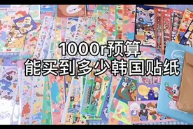 好久不见宝子们。看看1000r到底能买多少泡菜🇰🇷贴纸视频封面