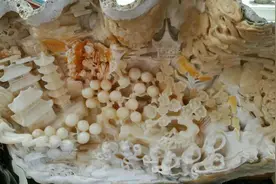 走进海底世界，真实版的美人鱼超可爱。原来美人鱼已经不是传说！视频封面