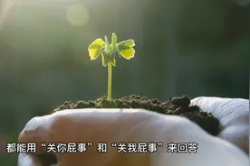 对喜欢的人想说的话，却找不到词，来这里，总有一条与你相符。视频封面