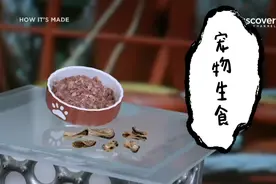 制造万物:宠物生食的制作过程视频封面