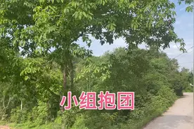 前期限8人一组，不婚男女抱团生活养老专用评论区视频封面