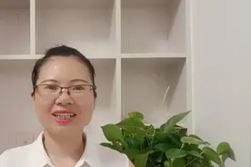 为什么男人都说娶老婆不能娶太漂亮的？听听这两位先生怎么说视频封面