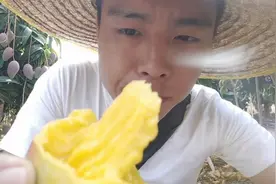 海南岛的热带春季美食视频封面