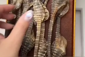 让爸爸炫爆朋友圈的礼物