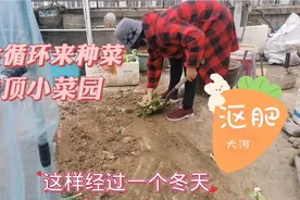 烂菜叶别扔，和水果皮一起放泡沫箱里，是楼顶沤肥的好原料！视频封面