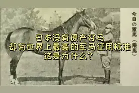 日本没有原产好马，却有世界上最高的军马征用标准，这是为什么？视频封面