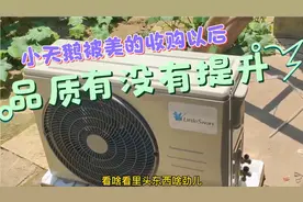 美的集团收购以后的小天鹅空调整体品质有没有提升#巩义空调杰哥视频封面