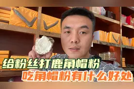梅花鹿鹿角帽粉怎么吃？有什么功效？张雷给粉丝打粉，分享给大家