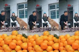 今生能与你相见相知是我最大的幸福，因为遇到你让我懂得什么是。视频封面