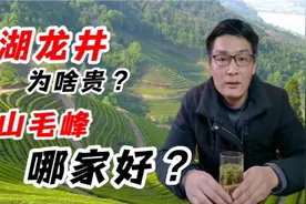 八卦茶经：西湖龙井为啥贵？黄山毛峰哪家好？视频封面
