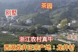 浙江农村不愧是全国模范，实拍西湖龙井原产地杭州龙井村，真富裕视频封面
