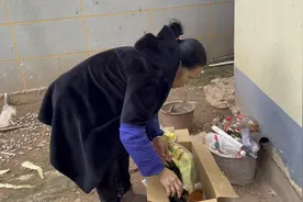 左手一只右手一只鸭，带的娃娃回娘家，这生活太过真实视频封面