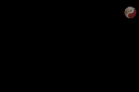 陈姥姥小儿推拿按摩—第十一讲风热咳嗽视频封面