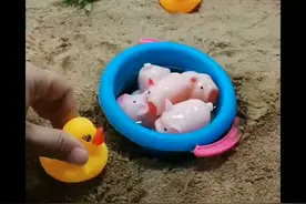 啊～啊～啊啊啊～怎么这么多猪爸爸～视频封面