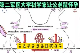 第二军医大学科学家让公老鼠怀孕视频封面