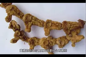 黄精的功效与食用方法是什么有哪些？视频封面