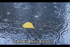 世界杯期间赌球买彩票违法吗？视频封面