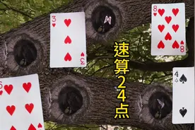 益智游戏，巧算24点，评论区出人才，高手过招一个比一个厉害。视频封面