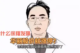 业绩江河日下的华丽家族，最大的利好居然是徐翔的冲冠一怒视频封面
