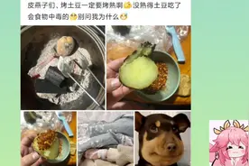 烤土豆一定要烤熟呀，没熟的土豆吃了会食物中毒，别问我为什么！