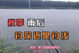 秋季雨后到底是钓深好还是钓浅好？掌握两大指标就能连杆不断！