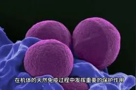 c反应蛋白高了是怎么回事？了解一下吧，对身体影响很大视频封面