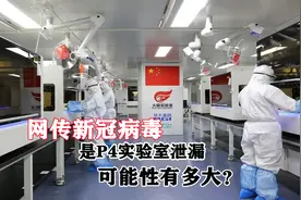 P4生物实验室到底是什么实验室？病毒到底是不是这里传出来的？视频封面