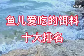 鱼儿爱吃的饵料十大排名，经不经典我不管我就喜欢这一款…你呢？视频封面