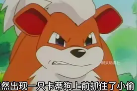 宝可梦：小次郎自己也有卡蒂狗，为什么还要跑去抓别人的卡蒂狗？视频封面
