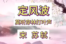 苏轼《定风波·莫听穿林打叶声》原文加译文视频封面