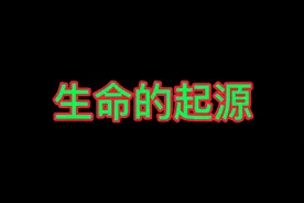 生命起源，地球上生命究竟是如何产生的|老中医视频封面