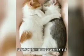 鬼缠身的征兆视频封面