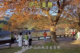 秋天的庐山太美了，随手一拍都是大片！视频封面